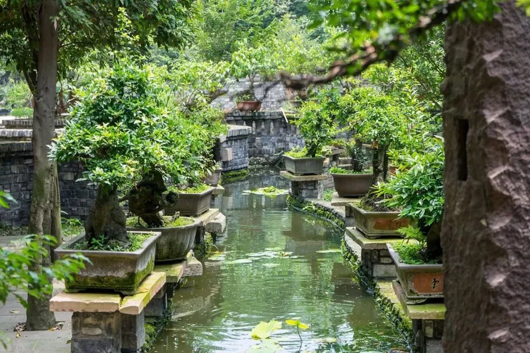 文章配图