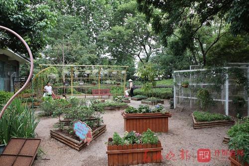 公园草坪图片高清 6004f53016234a71849b88e100b1b60a.jpeg