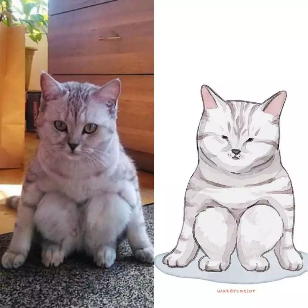 灵魂画师热衷临摹网络上的“沙雕猫”,画风超萌超减压!