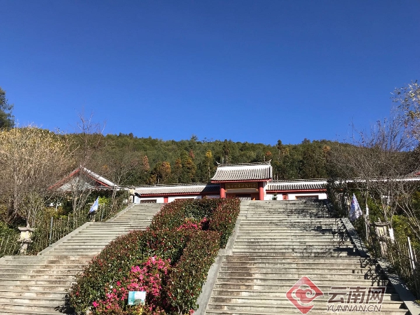 善洲林场荣膺中国生态文明奖先进集体