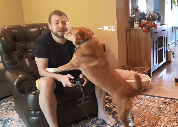712d3d1d7939440199a5298a7482341f.png
