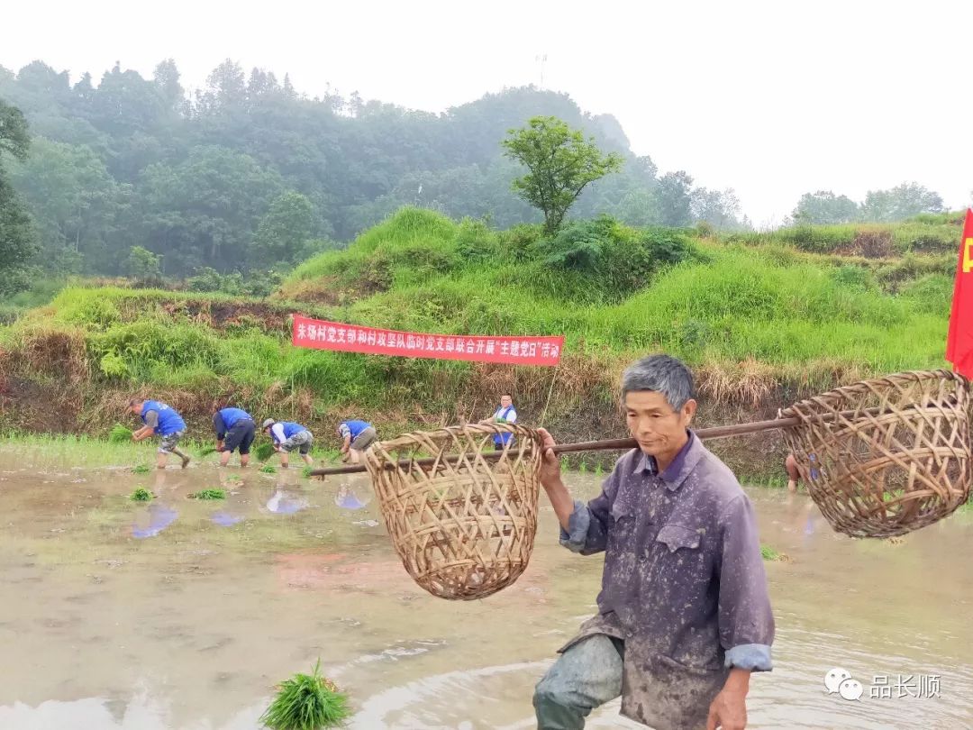 长顺有多少人口_广黔同心携手同行 越秀携手贵州长顺实现精准扶贫(3)