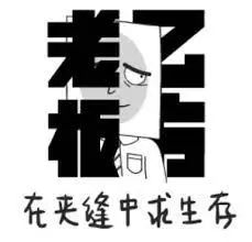 7ce924779c024bf89426fda6769590c9.jpeg