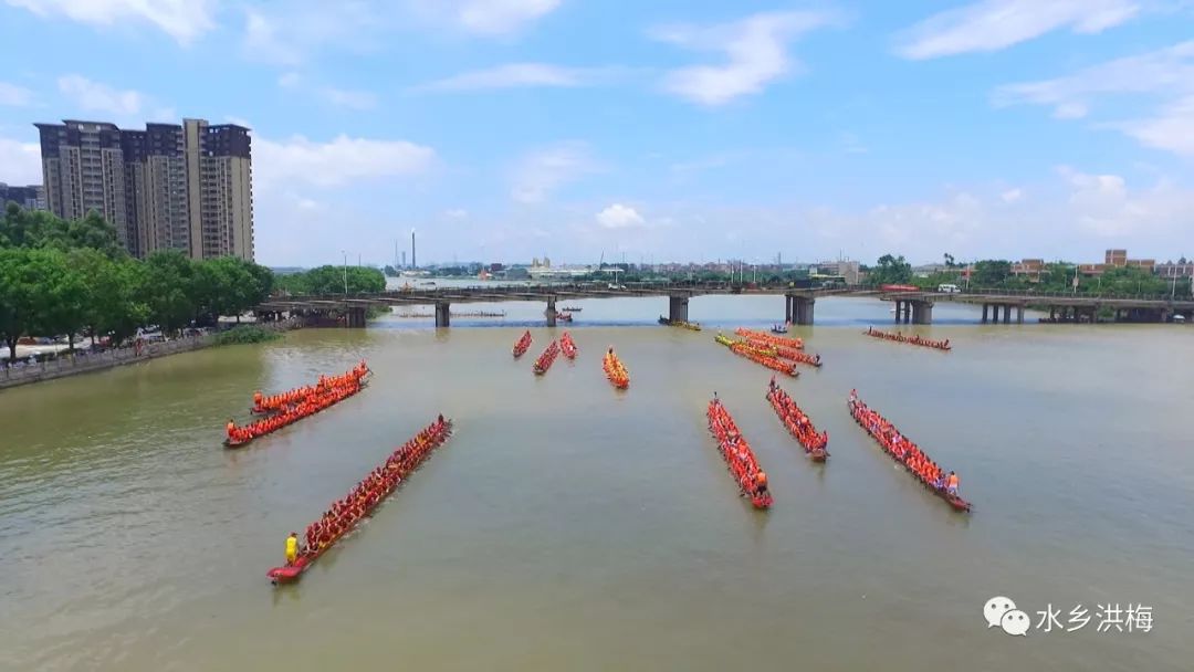 五月初三洪梅龙舟节 游龙趁景迎端午