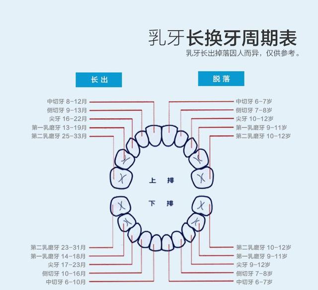                     五岁小朋友患蛀牙，其母说：孩子乳牙不用补？反正迟早都要换！