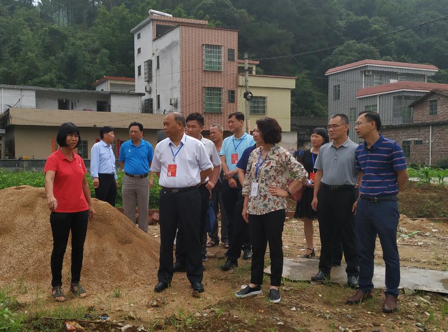 市人大常委会副主任苏培芬率调研组到河口街调研中小河流治理工作和"