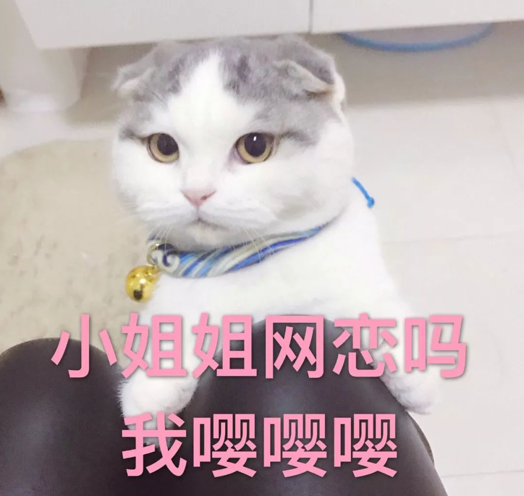 为啥男生嘤嘤嘤就很可爱,而女生嘤嘤嘤却让人反感? www.imeee.net 为啥男生嘤嘤嘤就很可爱,而女生嘤嘤嘤却让人反感? imeee.net