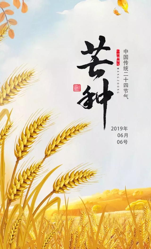 左河火的《芒种》诗称其景象战农闲的状况为"素阳辣辣卸衣拆,梅雨潇潇