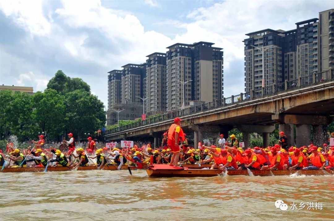 五月初三洪梅龙舟节 游龙趁景迎端午