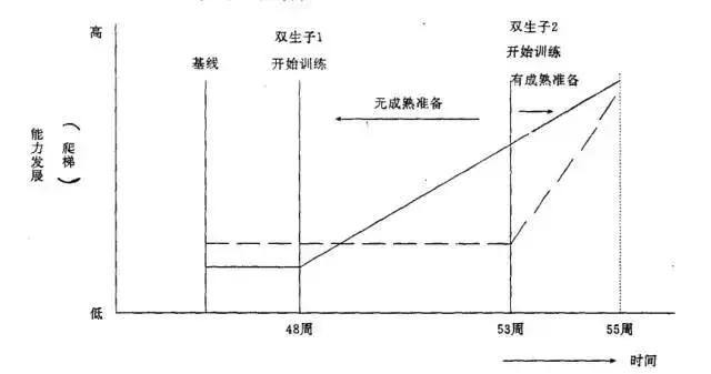 爬楼梯打一成语是什么_白带是什么图片(2)