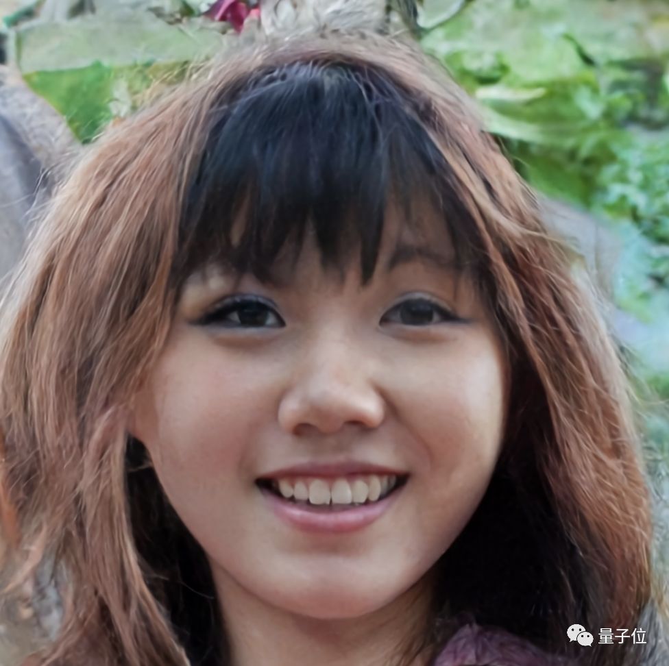 生成人脸动物高清大图真假难辨,deepmind发布二代vq-vae
