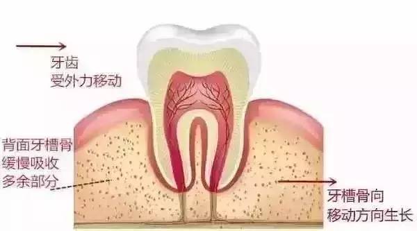 成人口呼吸矫正_价格 图片 品牌 怎么样 元珍商城(2)