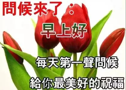 早上好的温馨暖心问候语 超漂亮的早安动态鲜花图片