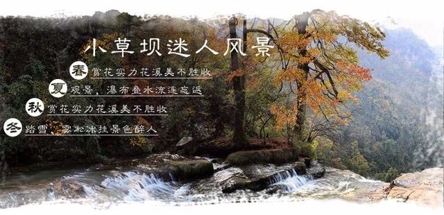 深山老林小游戏 c6ea9961183f40d7833643013a39482e.jpeg