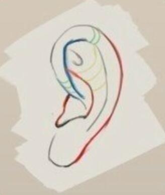 教你如何绘画人物耳朵的技巧