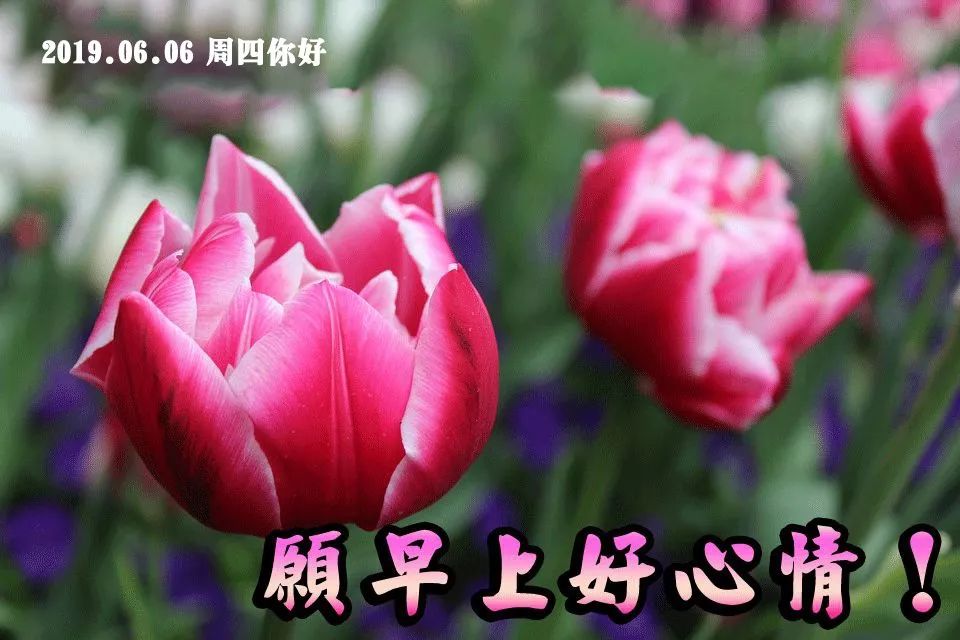 d9ce8ca753ca4eda9a6172b0b8498b3a.jpeg