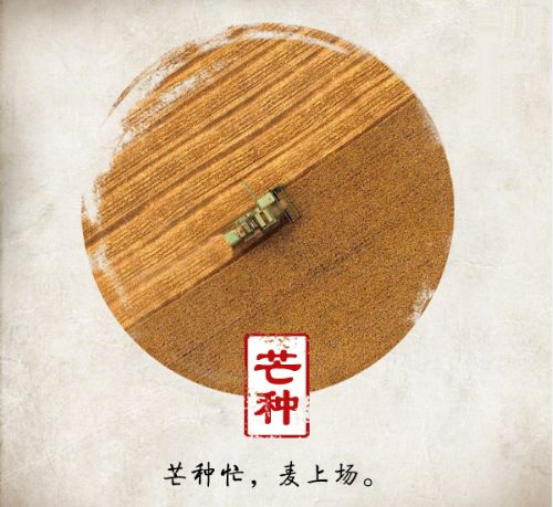今日芒种丨忙收忙种