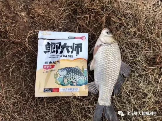 夏天用啥味型的鱼饵 dfcea3292ac442568e02940e2d9ade3d.jpeg