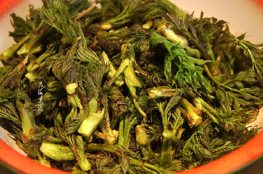 2,锅中加入适量的水,水开滴几滴油,下入刺嫩芽焯水.