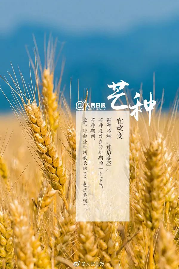 芒种| 不负青春 高考加油!