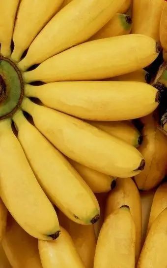 香蕉什么时候摘才最好吃 e737b6bf9b9947509312dccae2ce2430.jpeg