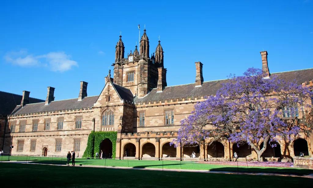 悉尼大学排名_悉尼大学