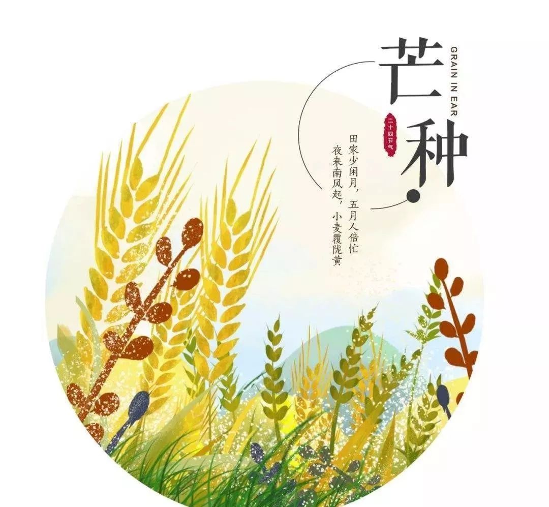 悦动丨芒种艾灸安迎盛夏