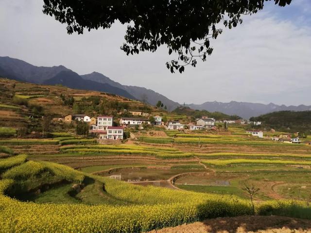 汉阴人口_2019年汉阴城区中小学新生入学启用扫码登记,详细流程看这里