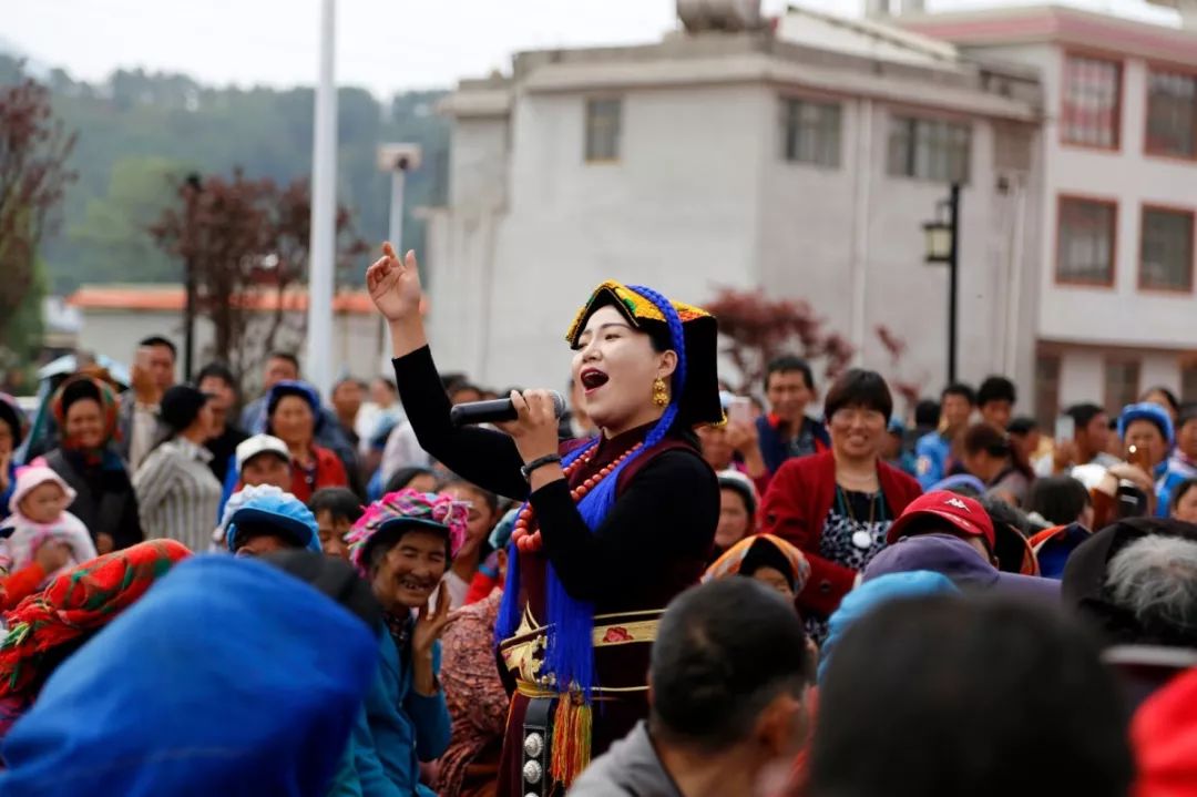 摘蓝莓,赏杜鹃花,逛赖石山……巧家县第三届乡村文化旅游节开幕