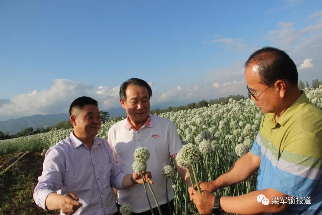 他是农民,韩国客商却不远万里来拜访他,为了啥?_李晓峰