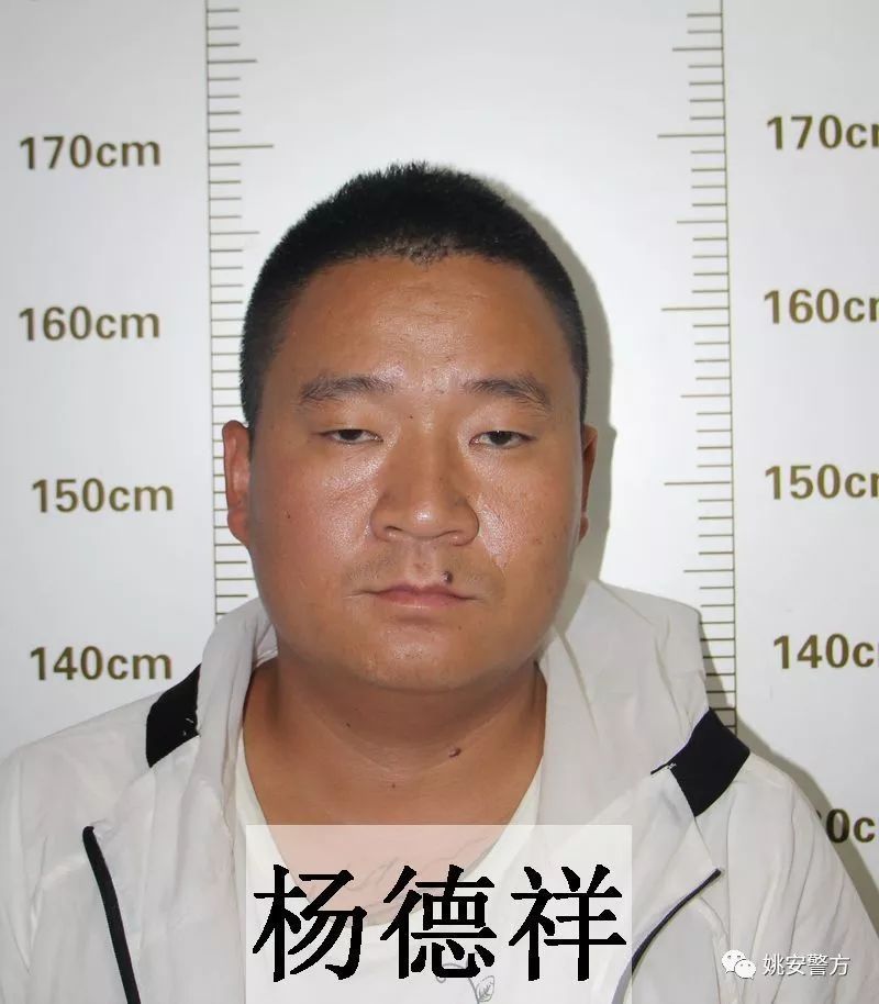 【扫黑除恶】8人被刑事拘留,楚雄姚安打掉一恶势力团伙,征集违法犯罪