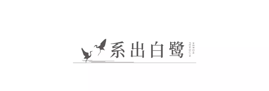 金昌白鹭凤林鹭隐凤林与时代和鸣