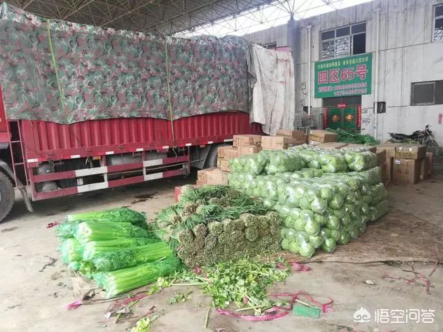 蔬菜批发如何找销路