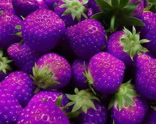31f5d91bbc364b97bc37c0bcbe52fb68.jpeg
