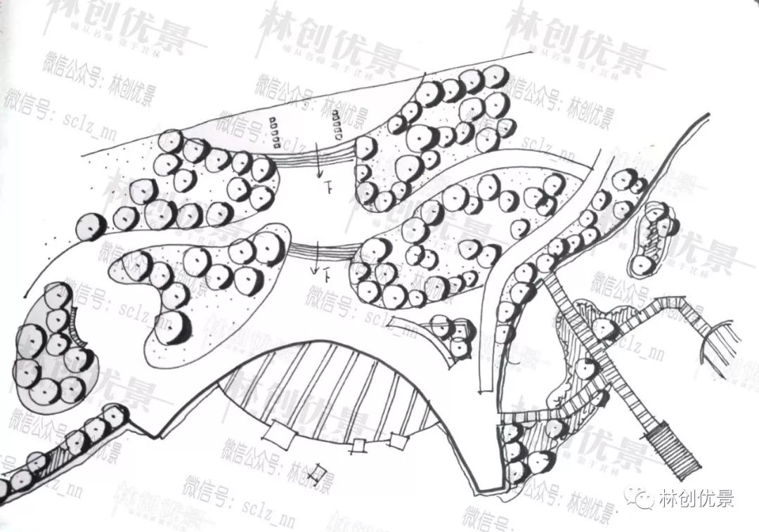 【每日一画】跟着林创画节点 day96滨水节点专类(一)