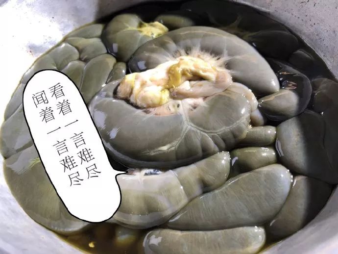 美食 | 《早餐中国》走红,贵州羊瘪粉C位出道