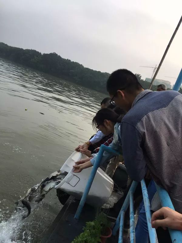 他放生了上万斤泥鳅之后,意想不到的事情发生了！