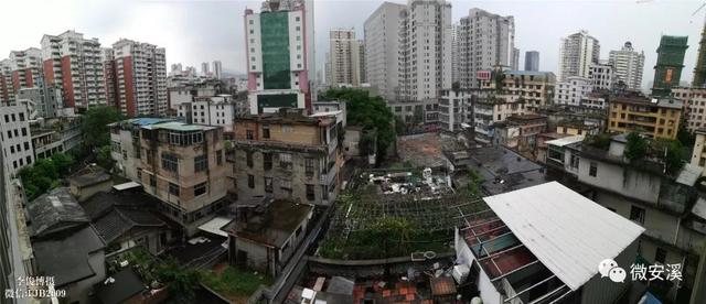 安溪多少人口_安溪铁观音图片(2)