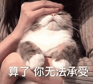 表情包 | 不许去找别的小姐姐