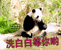 67a3b53a4a9a407f8506c9e2e3537158.gif