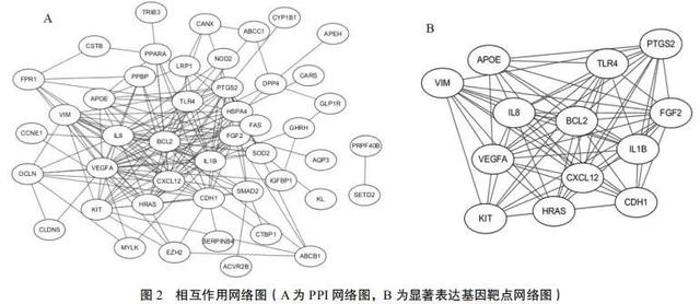 常平绿色高温胶带_一君包装_采购供应管理软件_采购销售