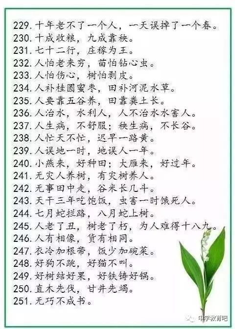 什么华绝什么成语_成语故事简笔画(3)