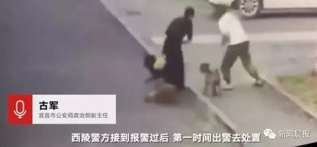 如何不被人遛 8602d823008e4ba8bbaa7f061eb633fe.jpeg