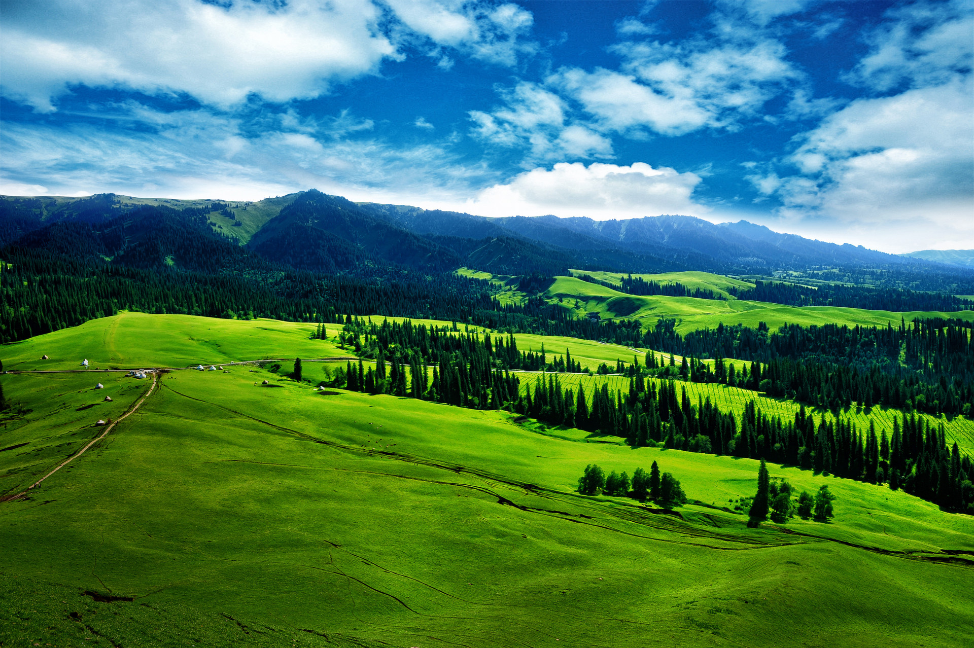 新疆喀拉峻草原风景桌面壁纸 - tt98图片网