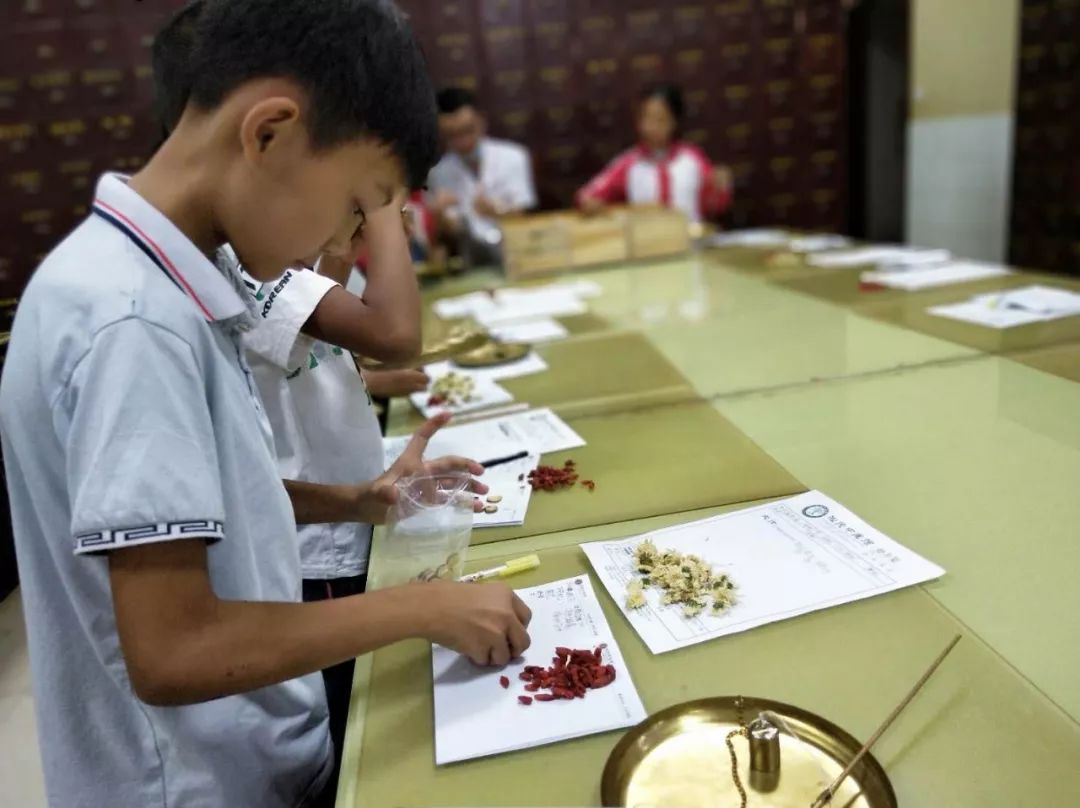 探中医之源访课外世界思茅六小淞茂中医药研学阶段实践活动圆满收官