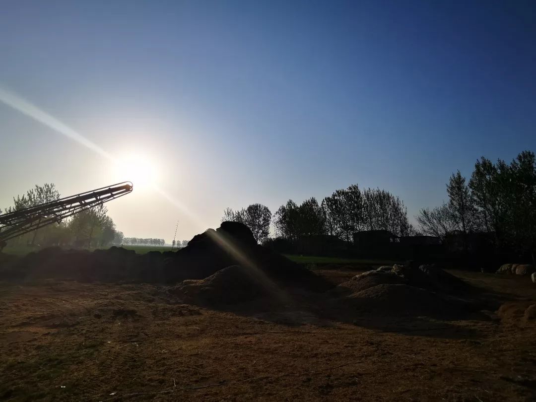 快速让自己平静下来 953b1e66ab05463b8721703e9cc53218.jpeg