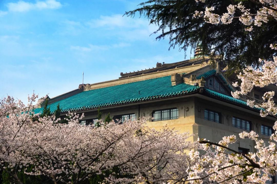 武汉大学