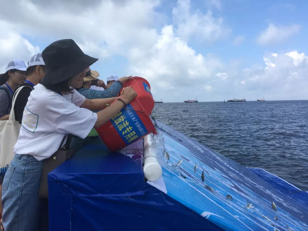 活动 以"增殖水生生物资源,共建生态美丽湾区"为主题,是内地与港澳