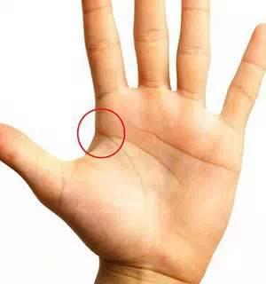 什么叫做公司的生命线 9e17d1772516490c831835f88b92e5df.jpeg