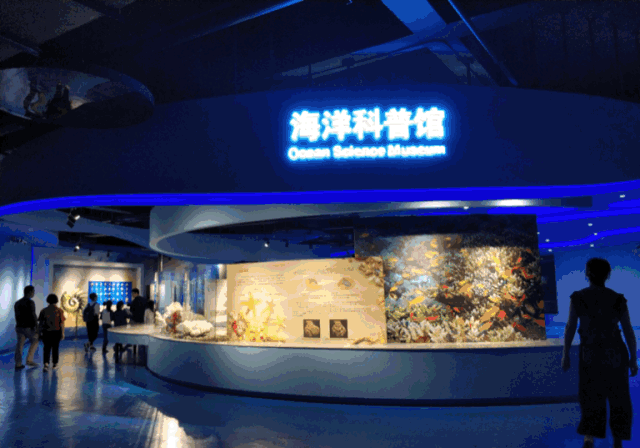 水母宫内还建有水母育养室 科普员会热情地传授水母的有关知识哦 是